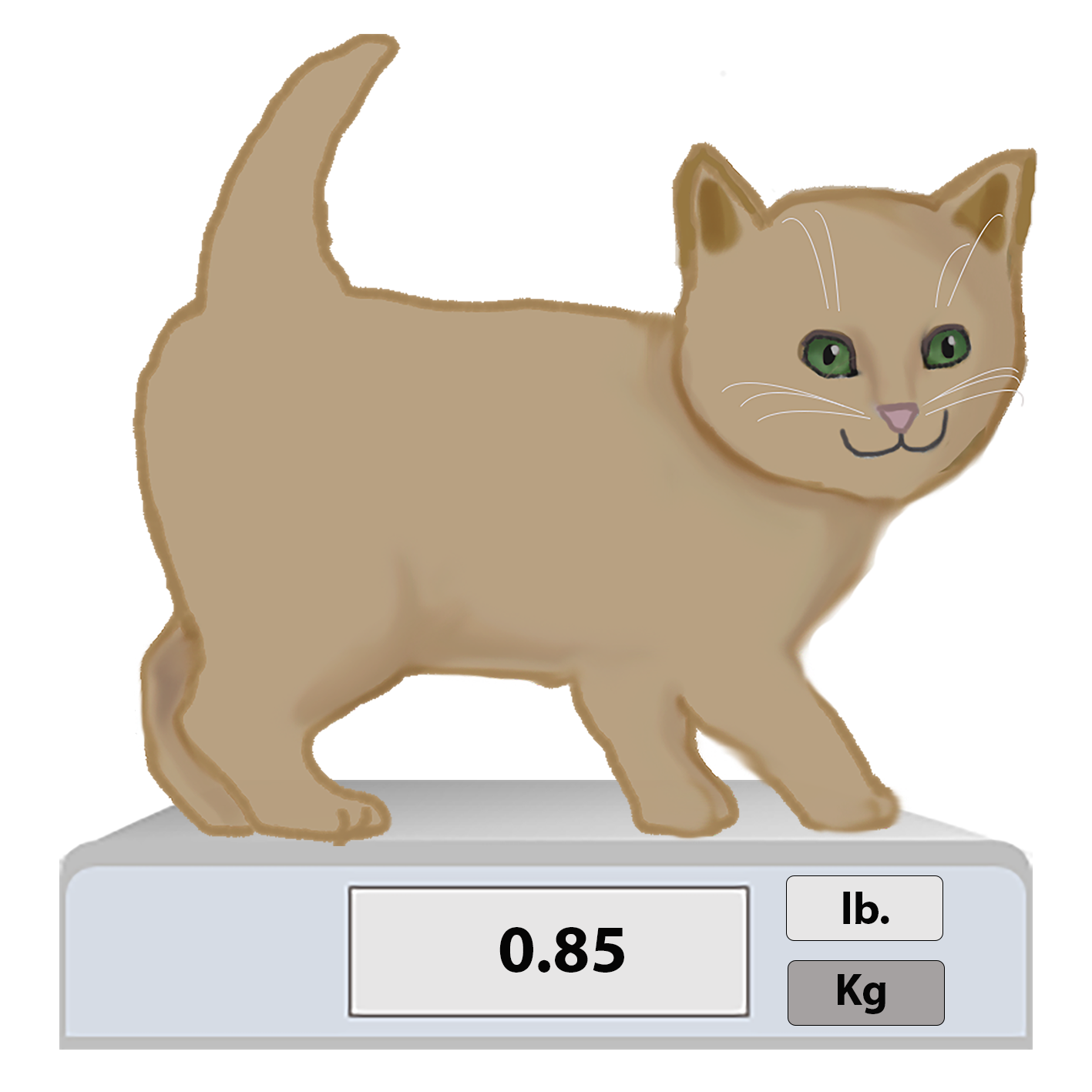 kitten on scale, units selected Kg, weight displayed 0.85. Next, the nurse calculates the amounts to be communicated to the pharmacy and to the pet parent. They use a conversion factor to convert the weight into the amount in mg of amoxicillin needed. Source: Simona Bare